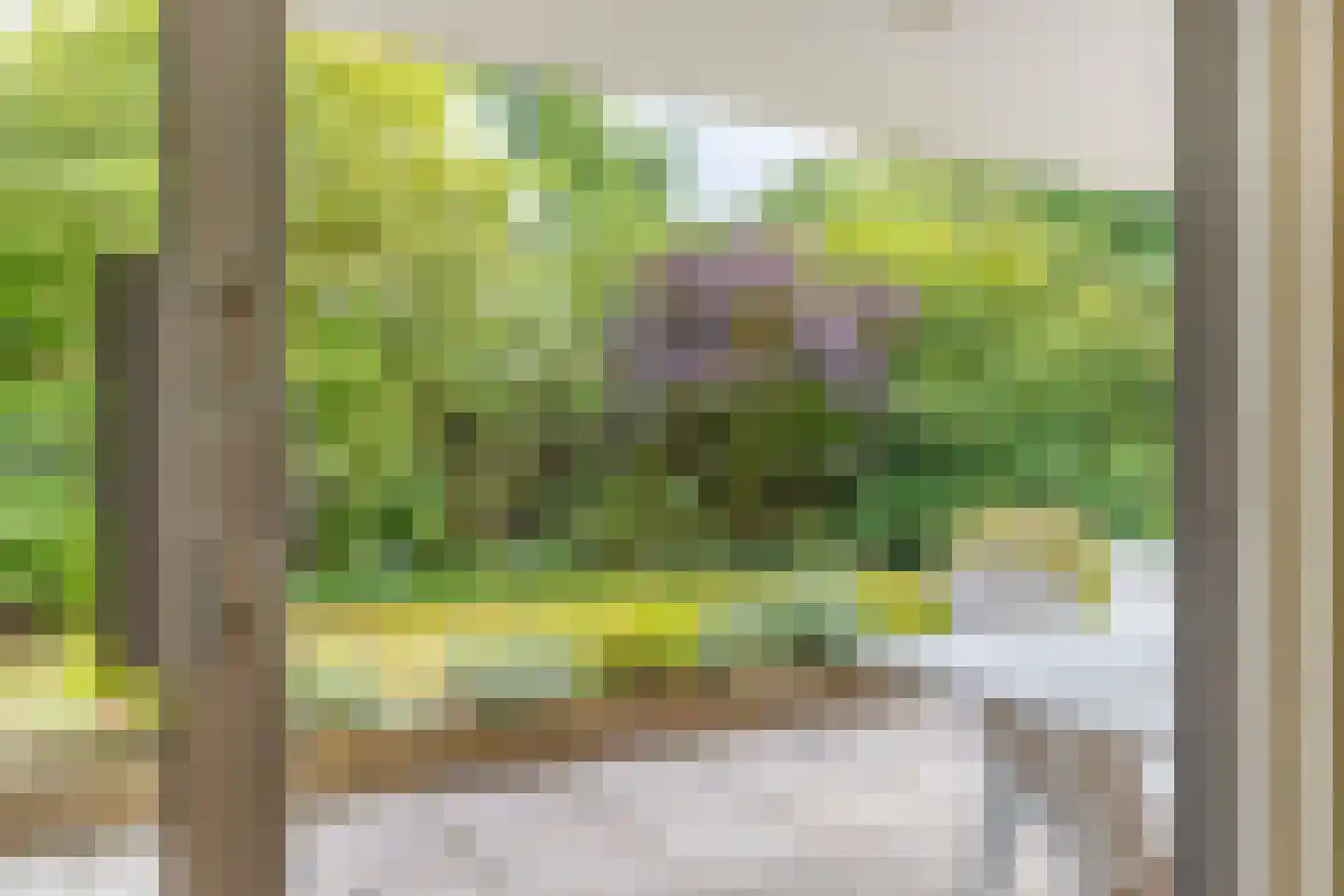 De Sprong 10 Renesse thumbnail 18