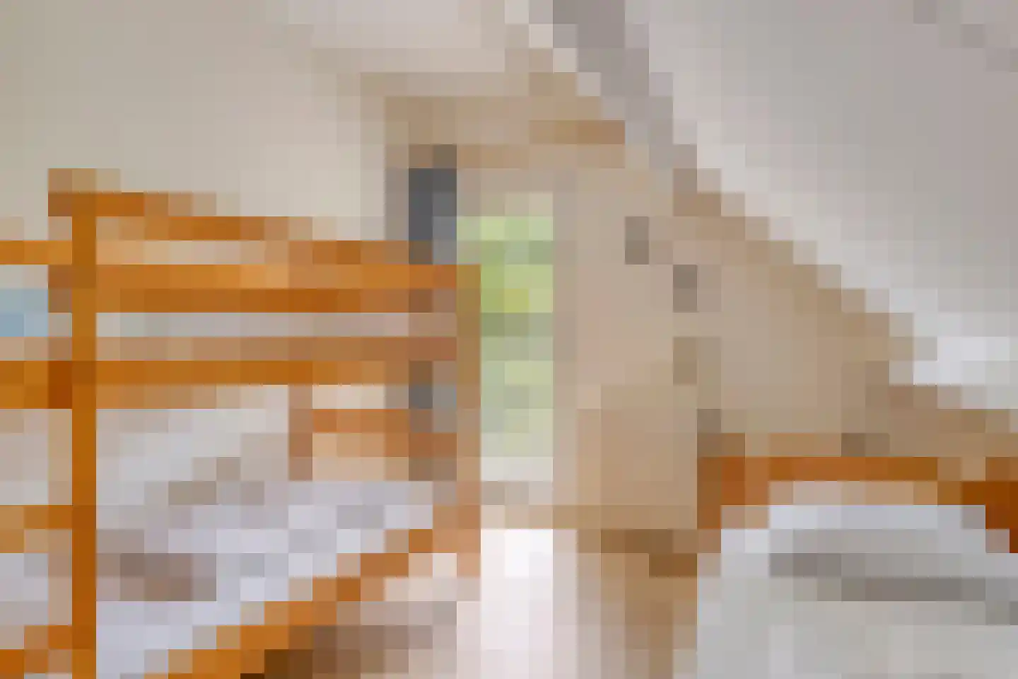 De Sprong 10 Renesse thumbnail 20