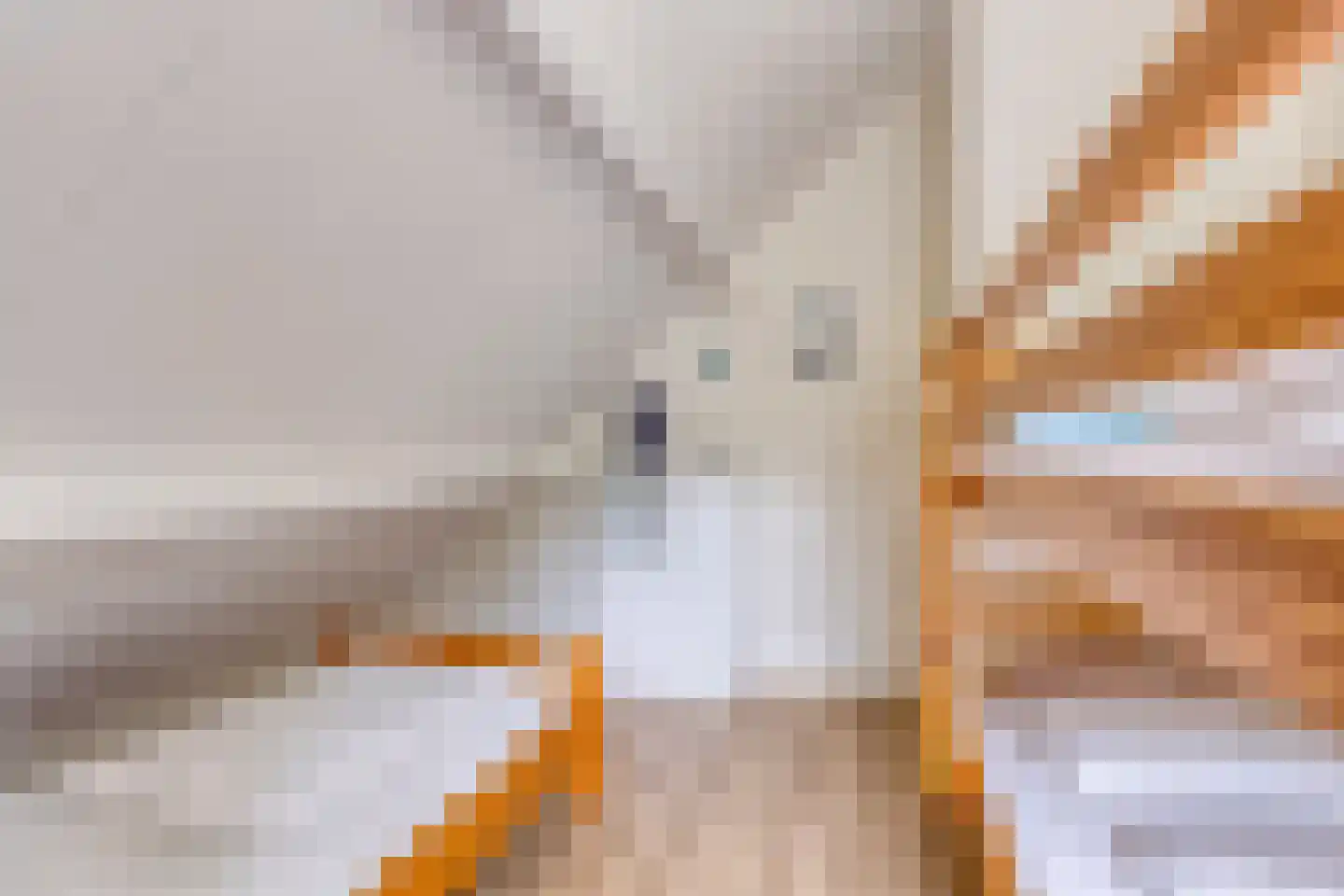 De Sprong 10 Renesse thumbnail 22