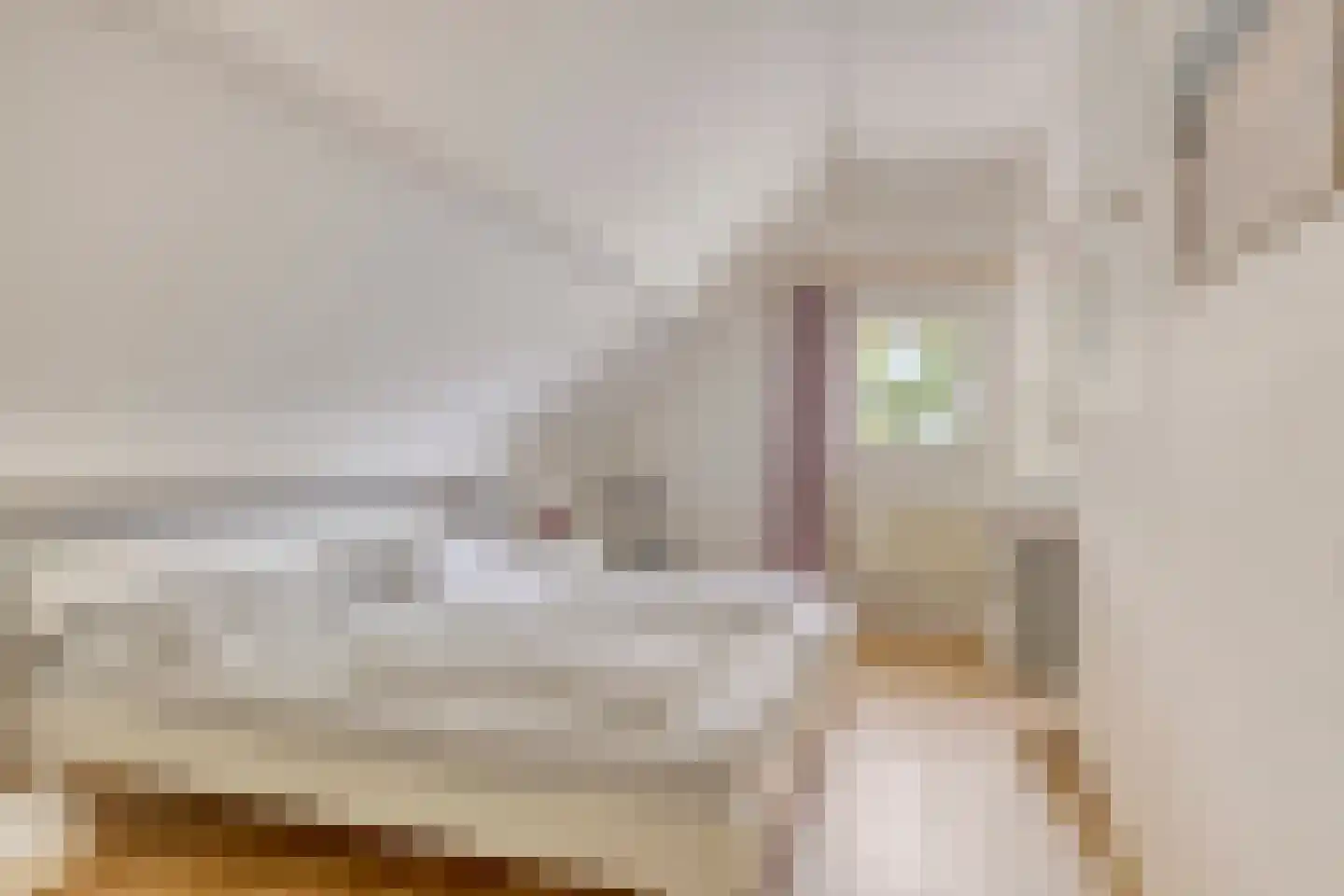 De Sprong 10 Renesse thumbnail 23