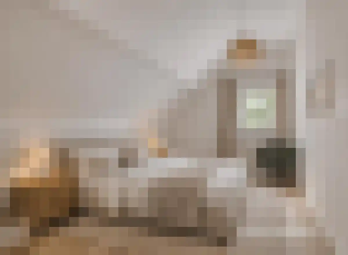 De Sprong 10 Renesse thumbnail 24