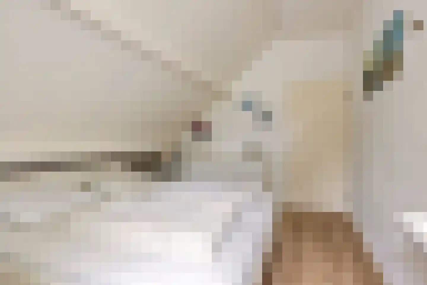 De Sprong 10 Renesse thumbnail 27