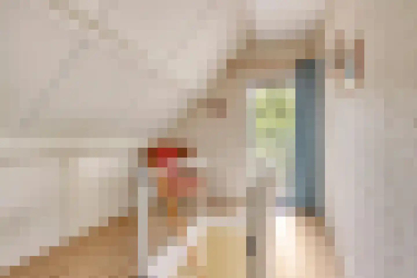 De Sprong 10 Renesse thumbnail 28