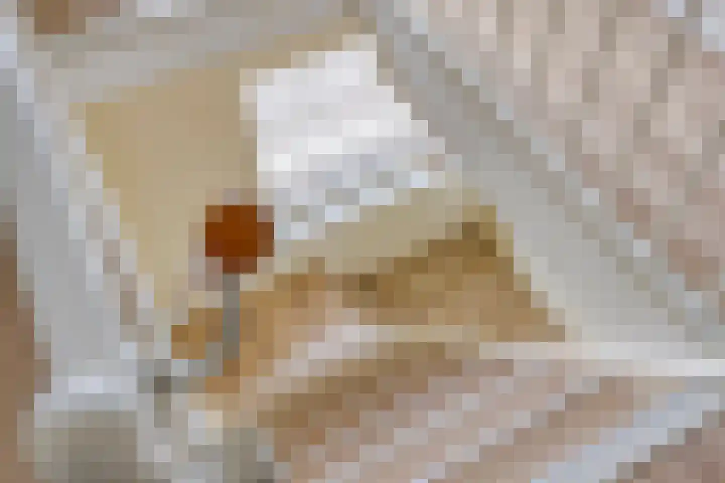 De Sprong 10 Renesse thumbnail 30