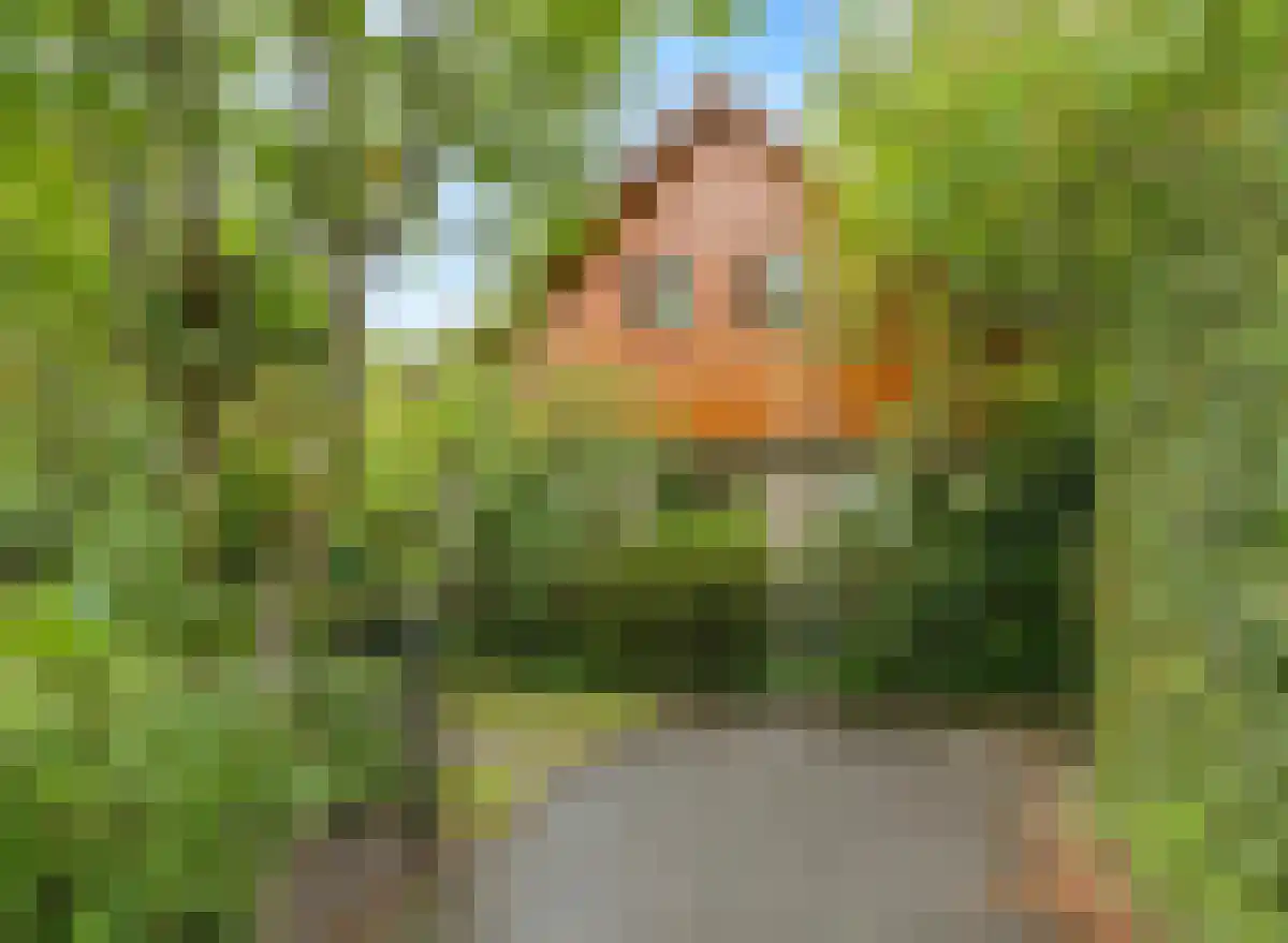 De Sprong 10 Renesse thumbnail 36