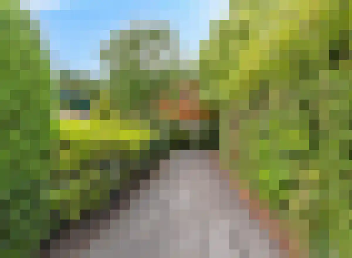 De Sprong 10 Renesse thumbnail 37