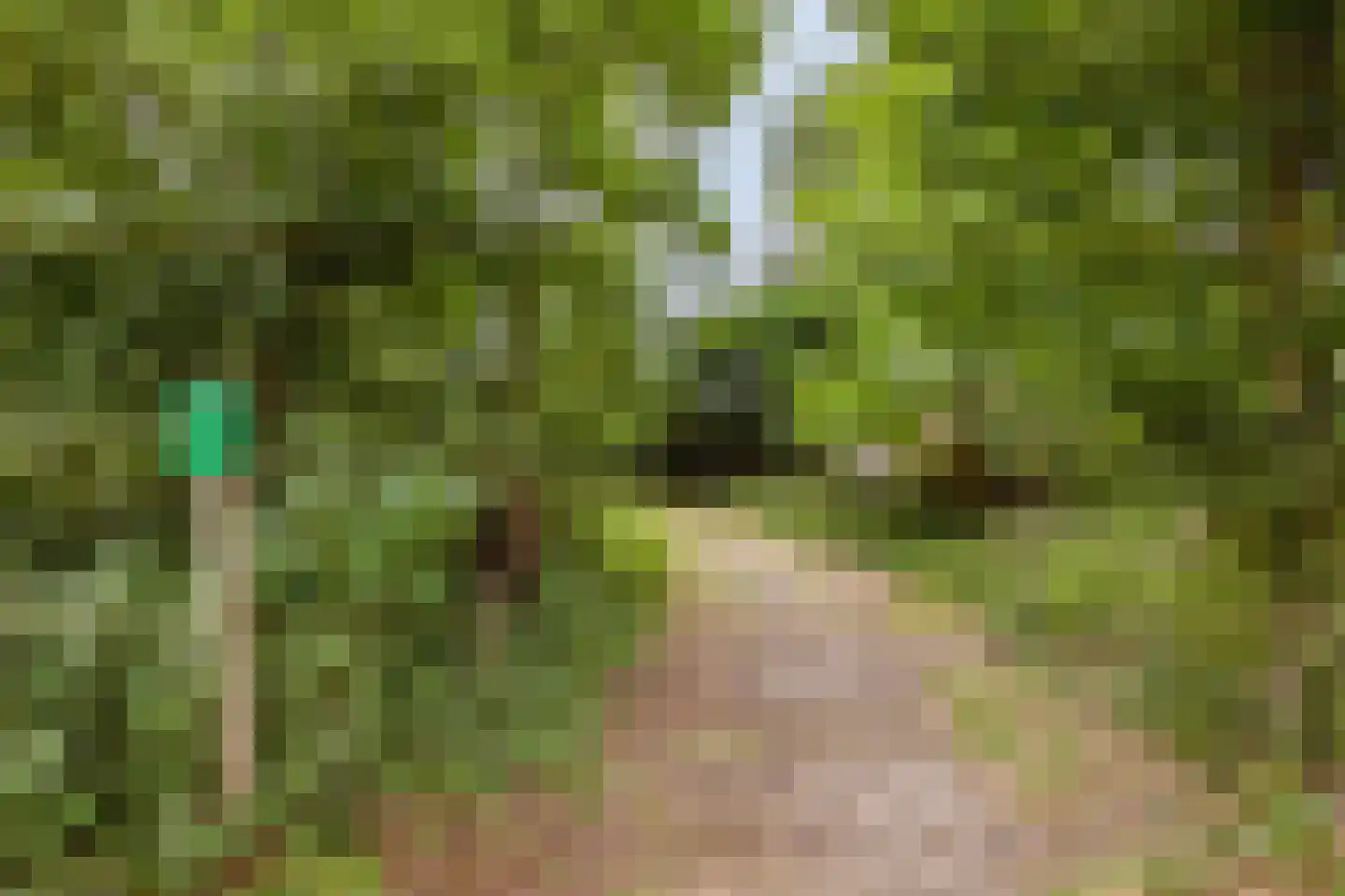 De Sprong 10 Renesse thumbnail 38