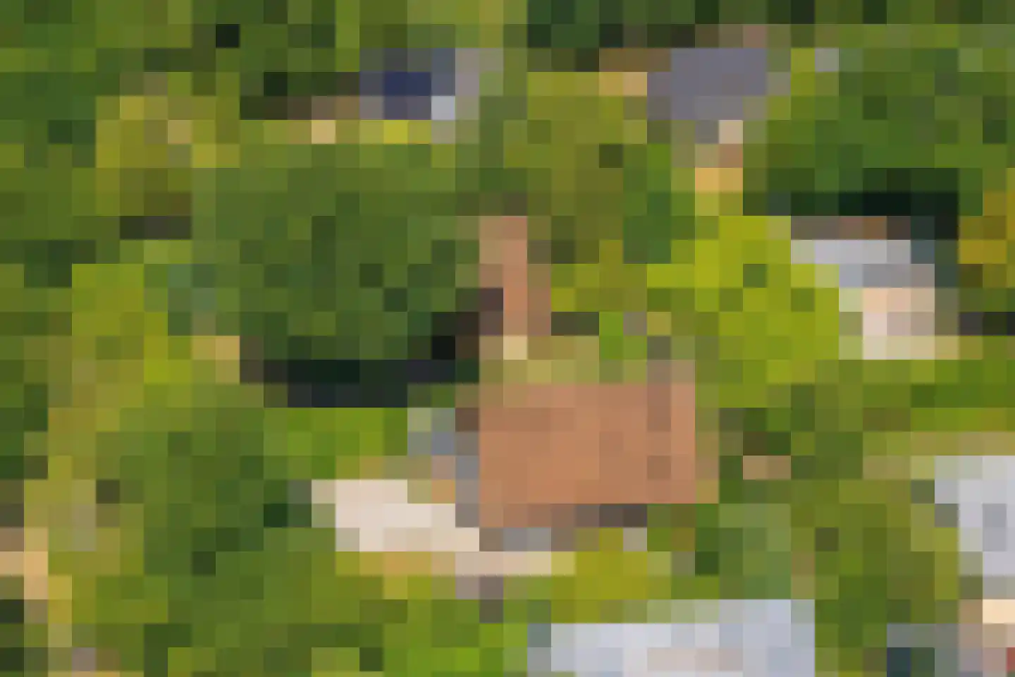 De Sprong 10 Renesse thumbnail 39