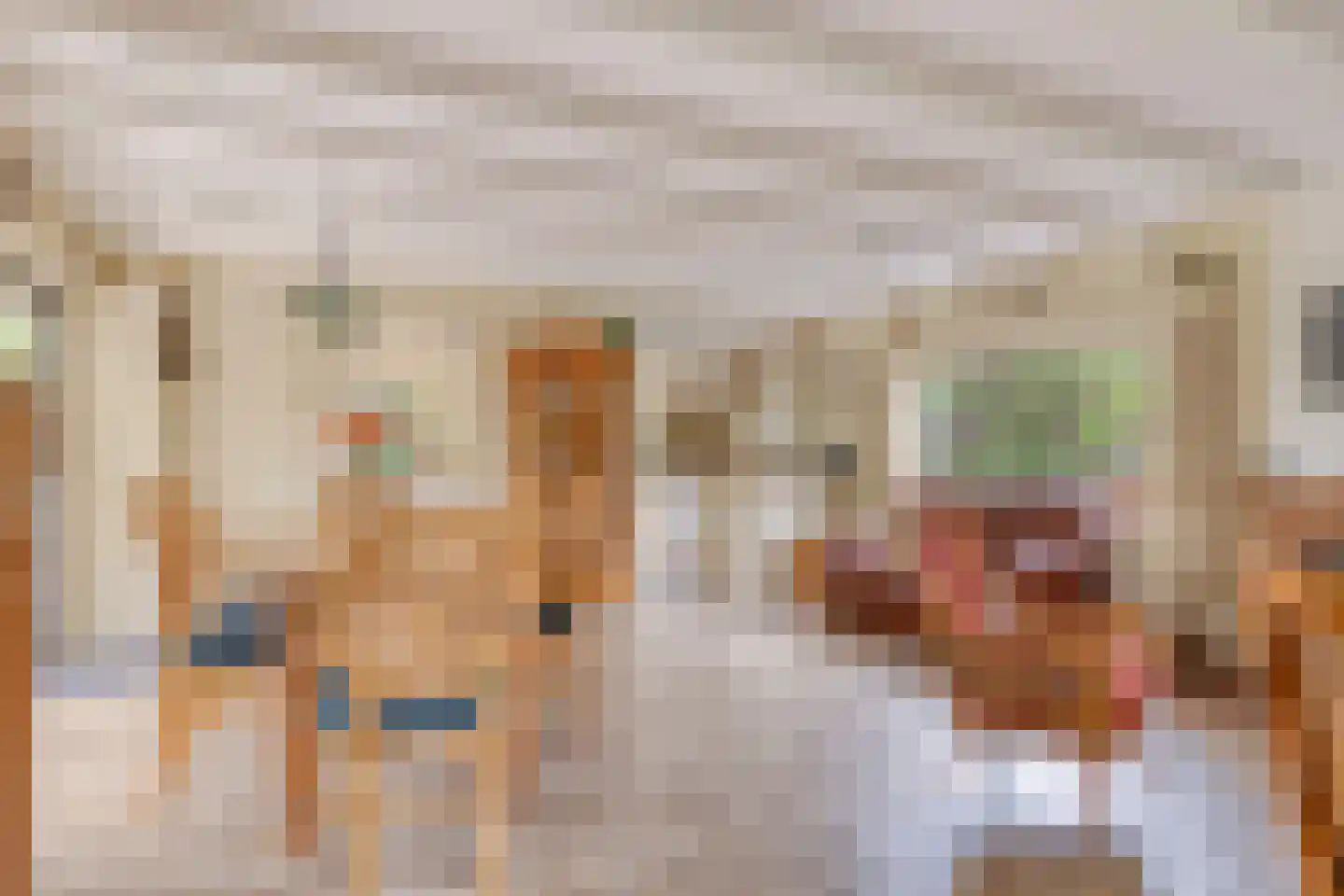 De Sprong 10 Renesse thumbnail 4