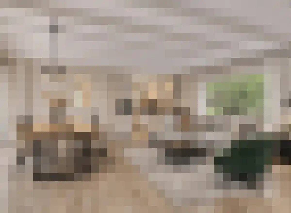De Sprong 10 Renesse thumbnail 5