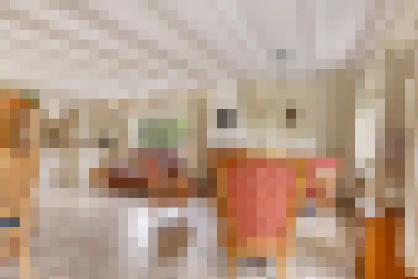 De Sprong 10 Renesse thumbnail 6