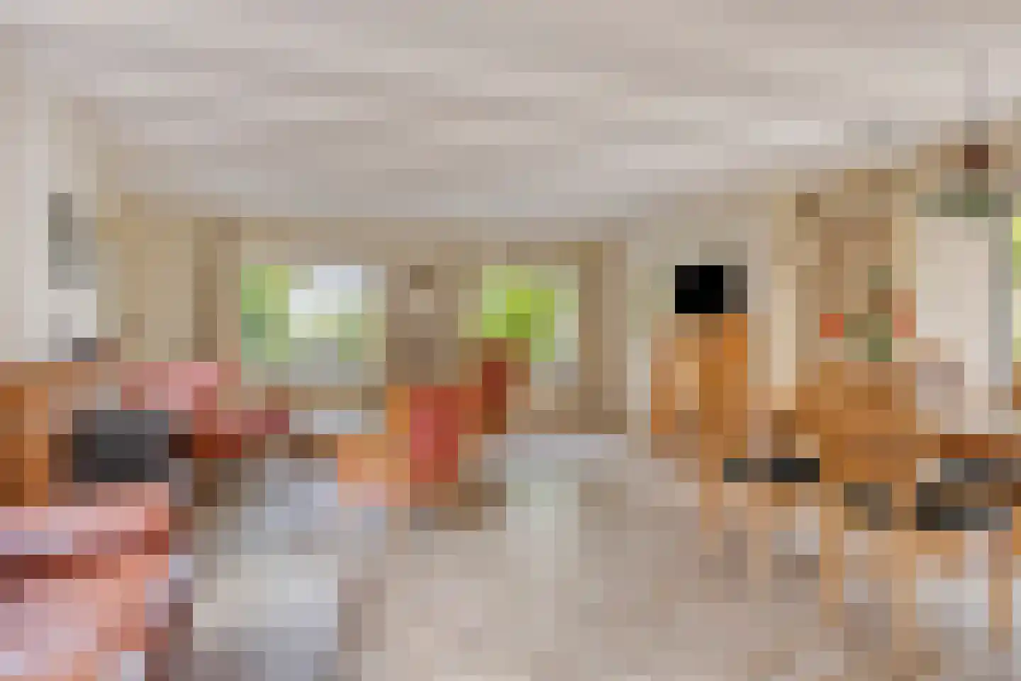 De Sprong 10 Renesse thumbnail 9