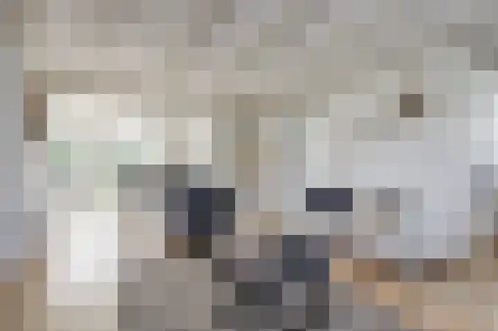 De Sprong 3 Renesse thumbnail 8
