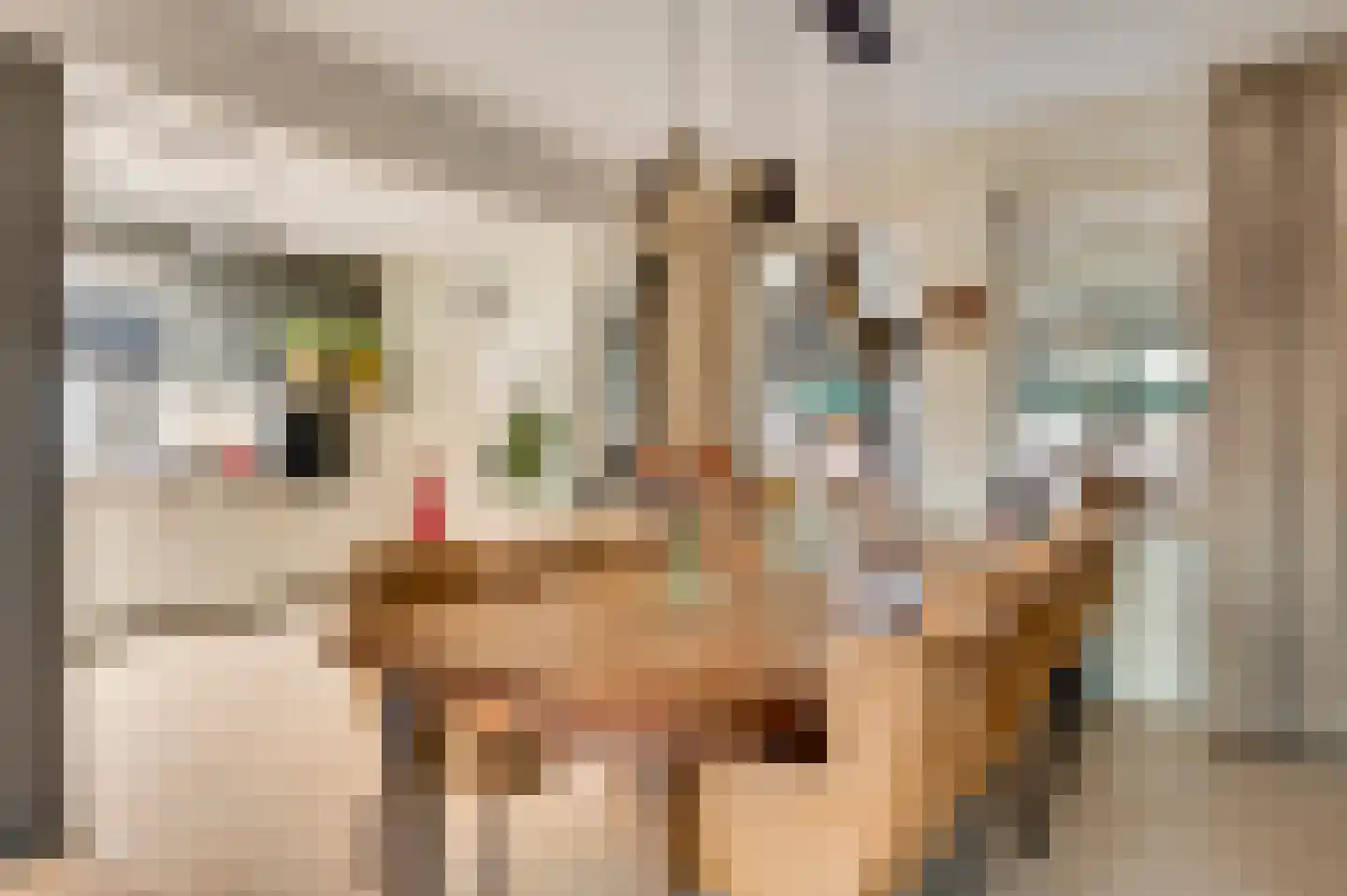 De Sprunk 14 Roermond thumbnail 10