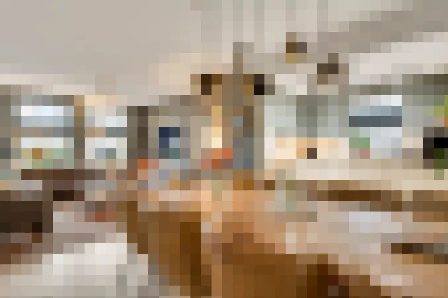De Sprunk 14 Roermond thumbnail 11