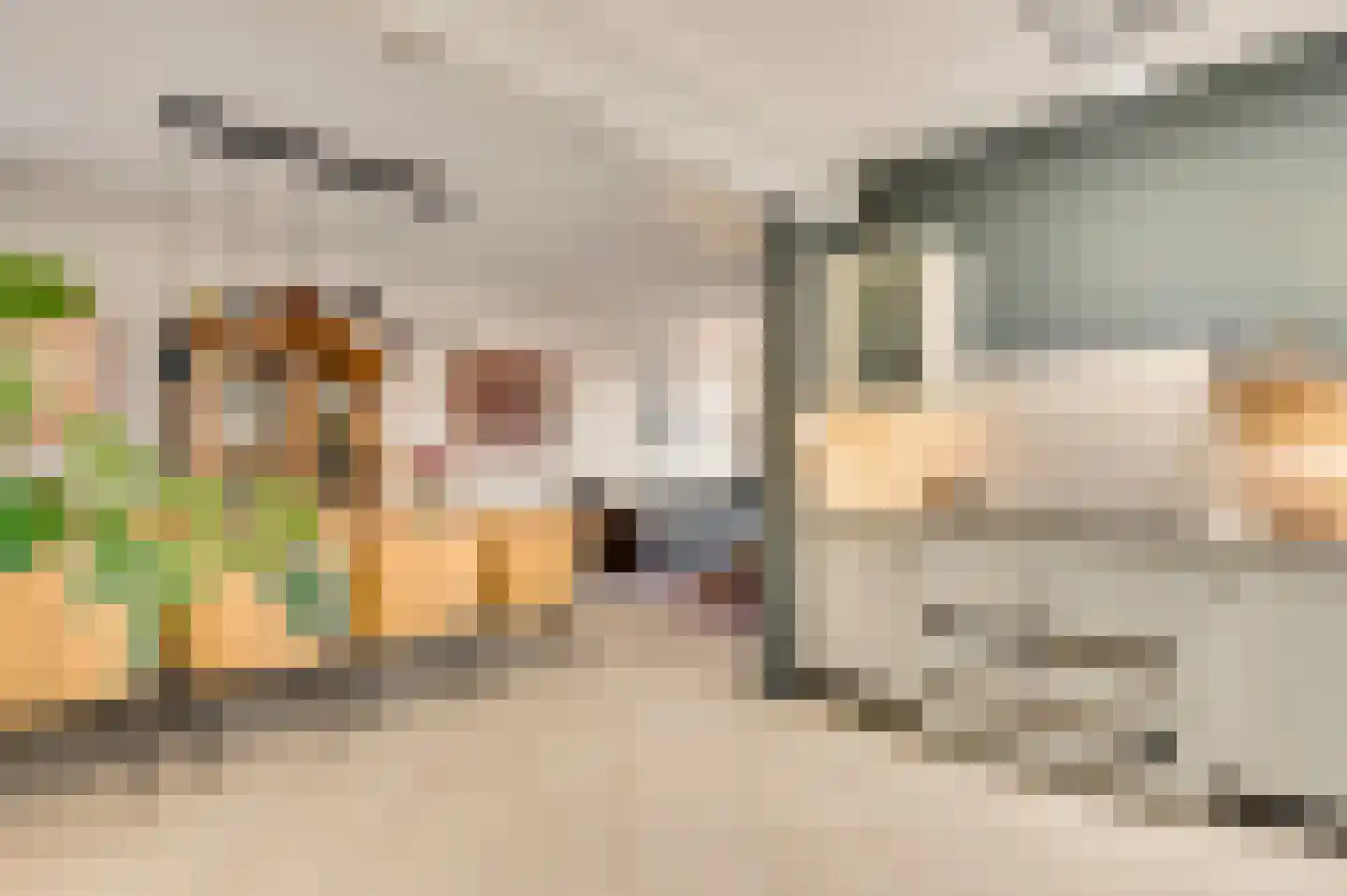 De Sprunk 14 Roermond thumbnail 13