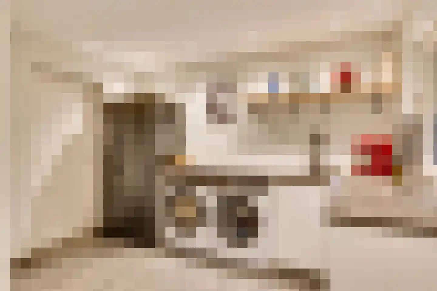 De Sprunk 14 Roermond thumbnail 15