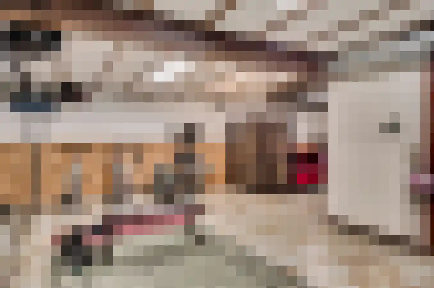 De Sprunk 14 Roermond thumbnail 20