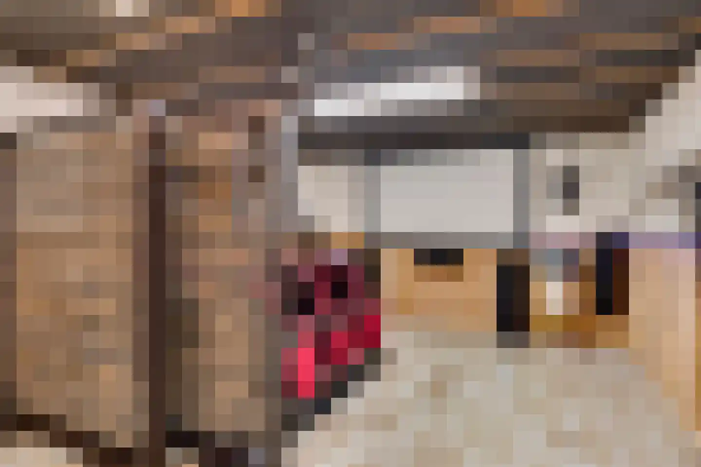 De Sprunk 14 Roermond thumbnail 21
