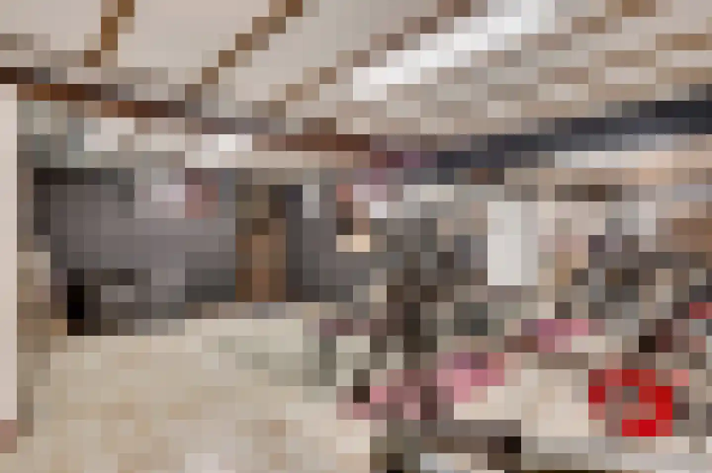 De Sprunk 14 Roermond thumbnail 22