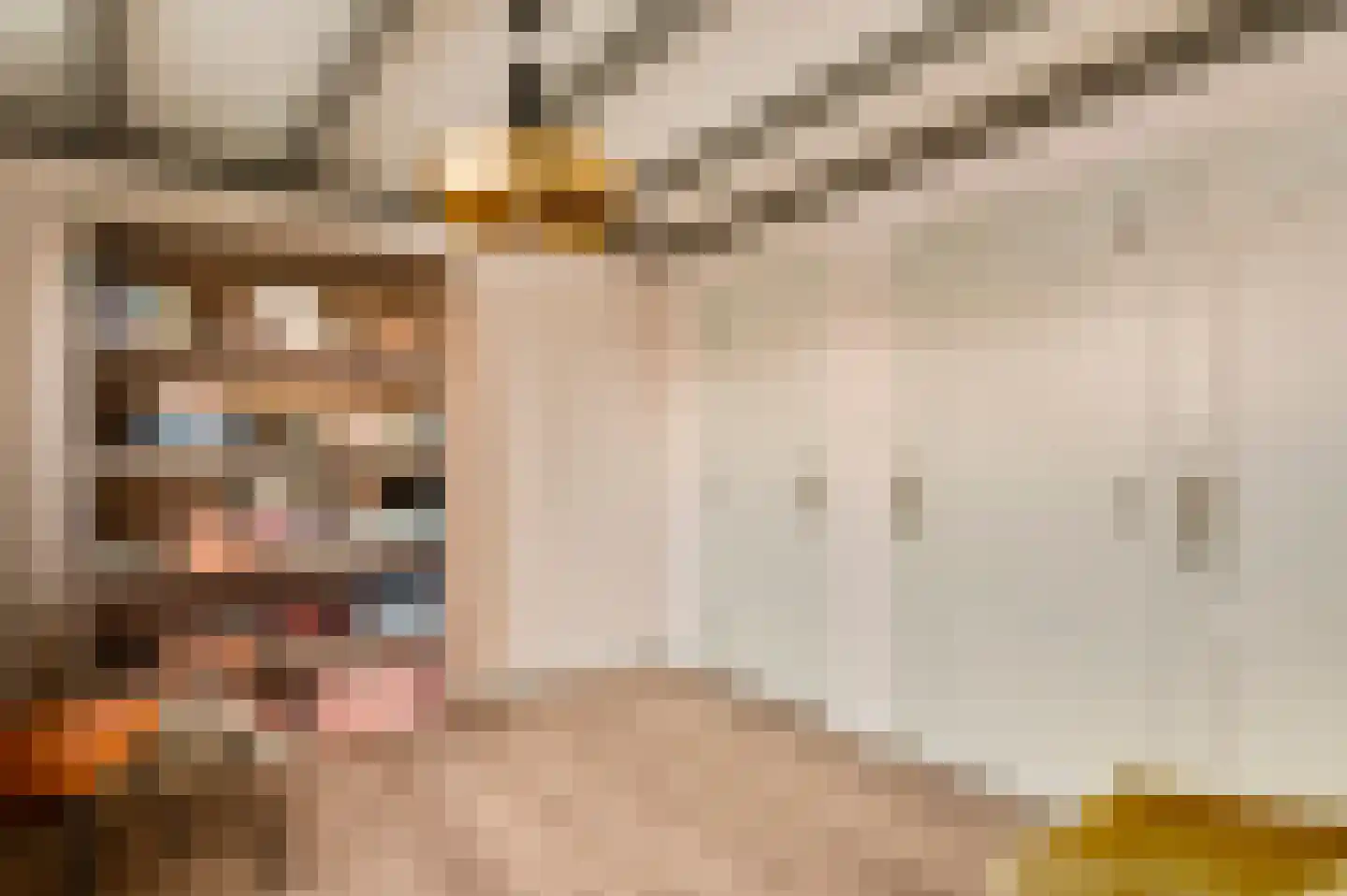 De Sprunk 14 Roermond thumbnail 27