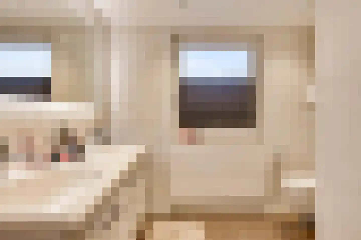 De Sprunk 14 Roermond thumbnail 28