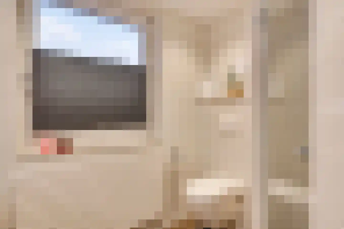 De Sprunk 14 Roermond thumbnail 29