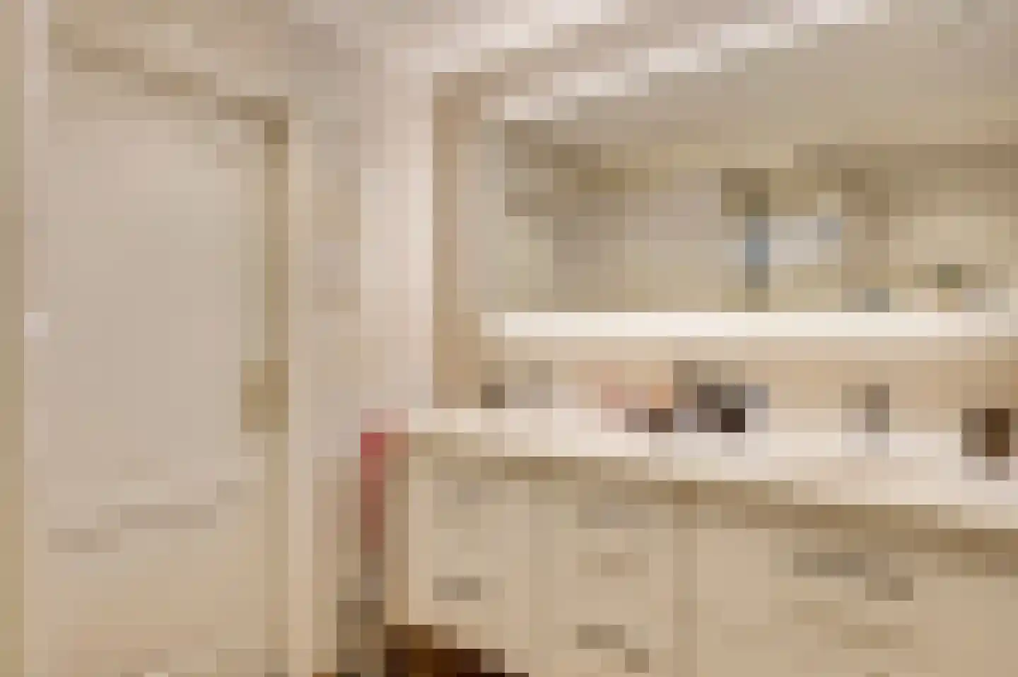 De Sprunk 14 Roermond thumbnail 31