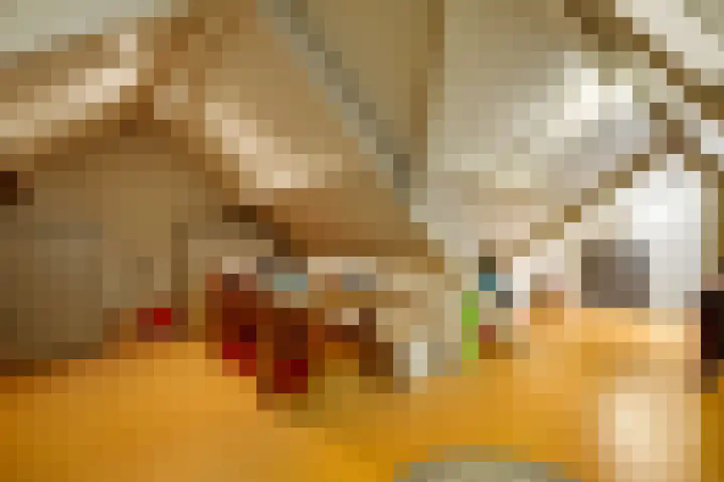 De Sprunk 14 Roermond thumbnail 34