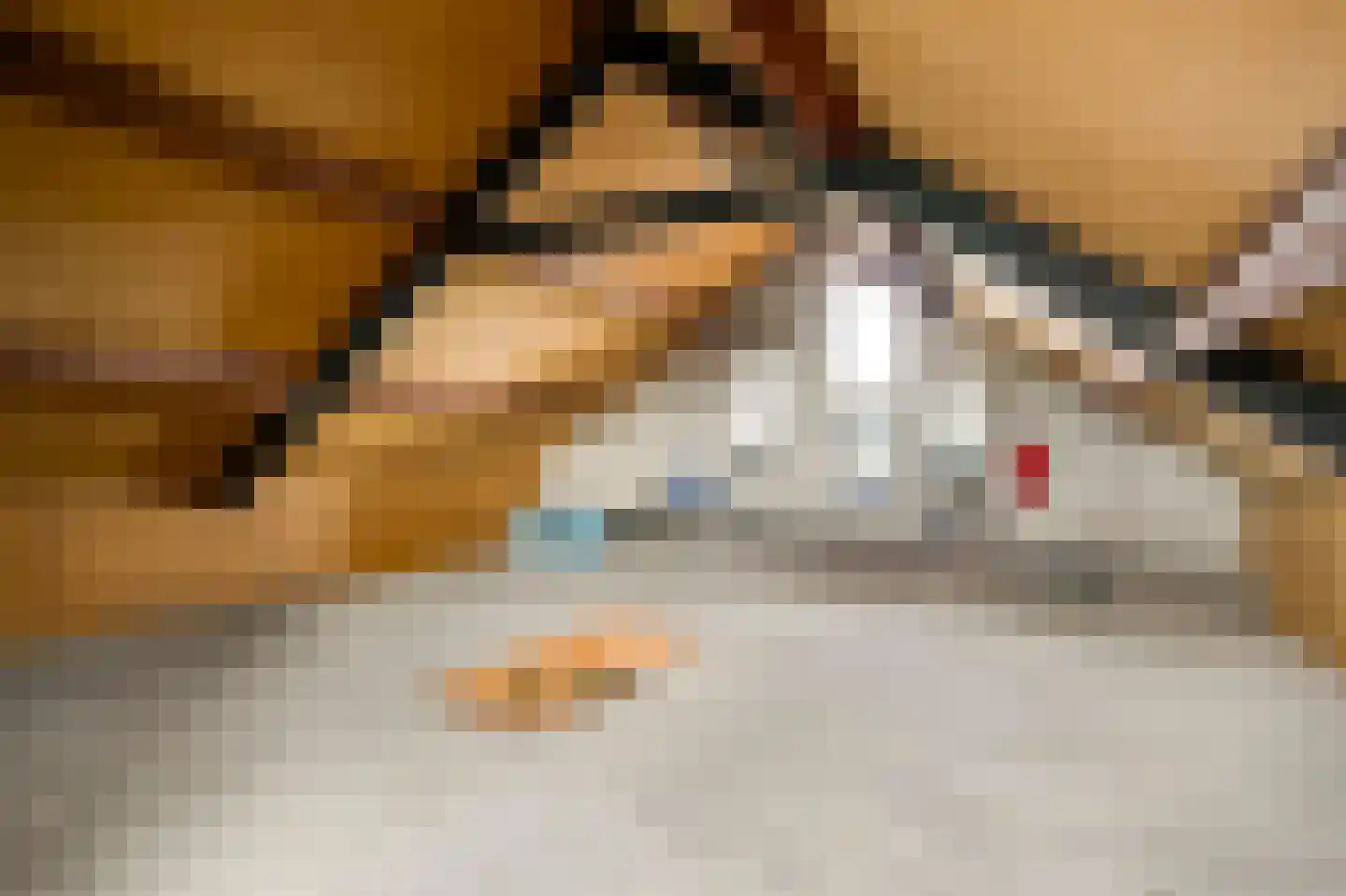De Sprunk 14 Roermond thumbnail 36