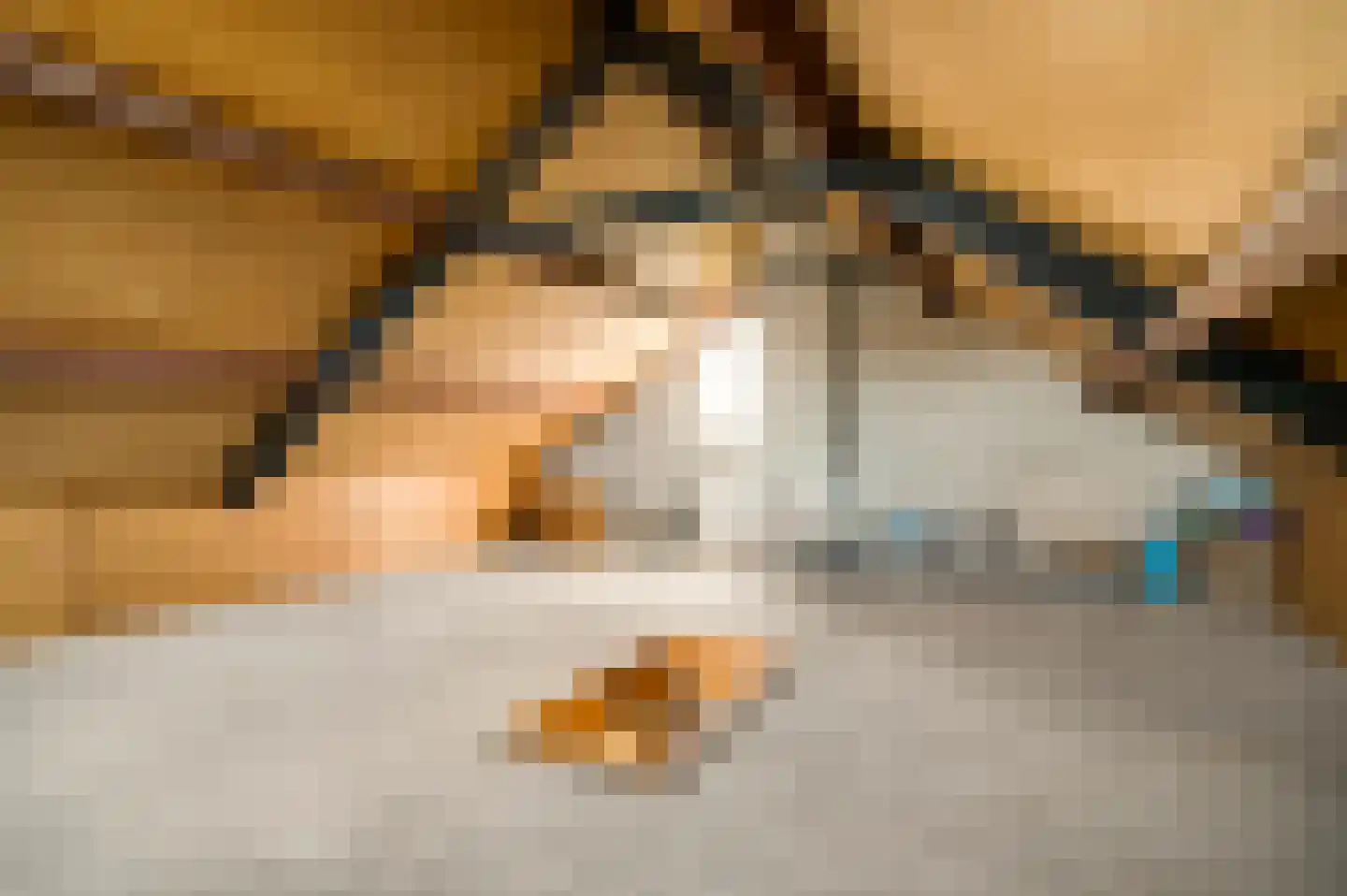 De Sprunk 14 Roermond thumbnail 37