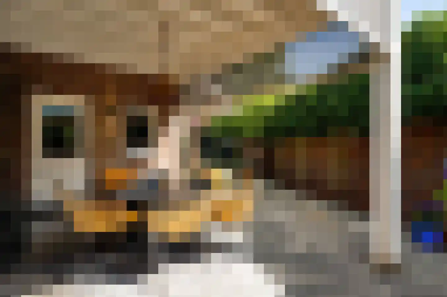 De Sprunk 14 Roermond thumbnail 38