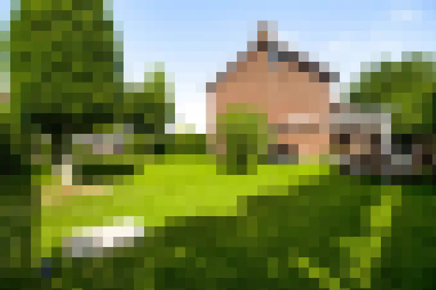 De Sprunk 14 Roermond thumbnail 41