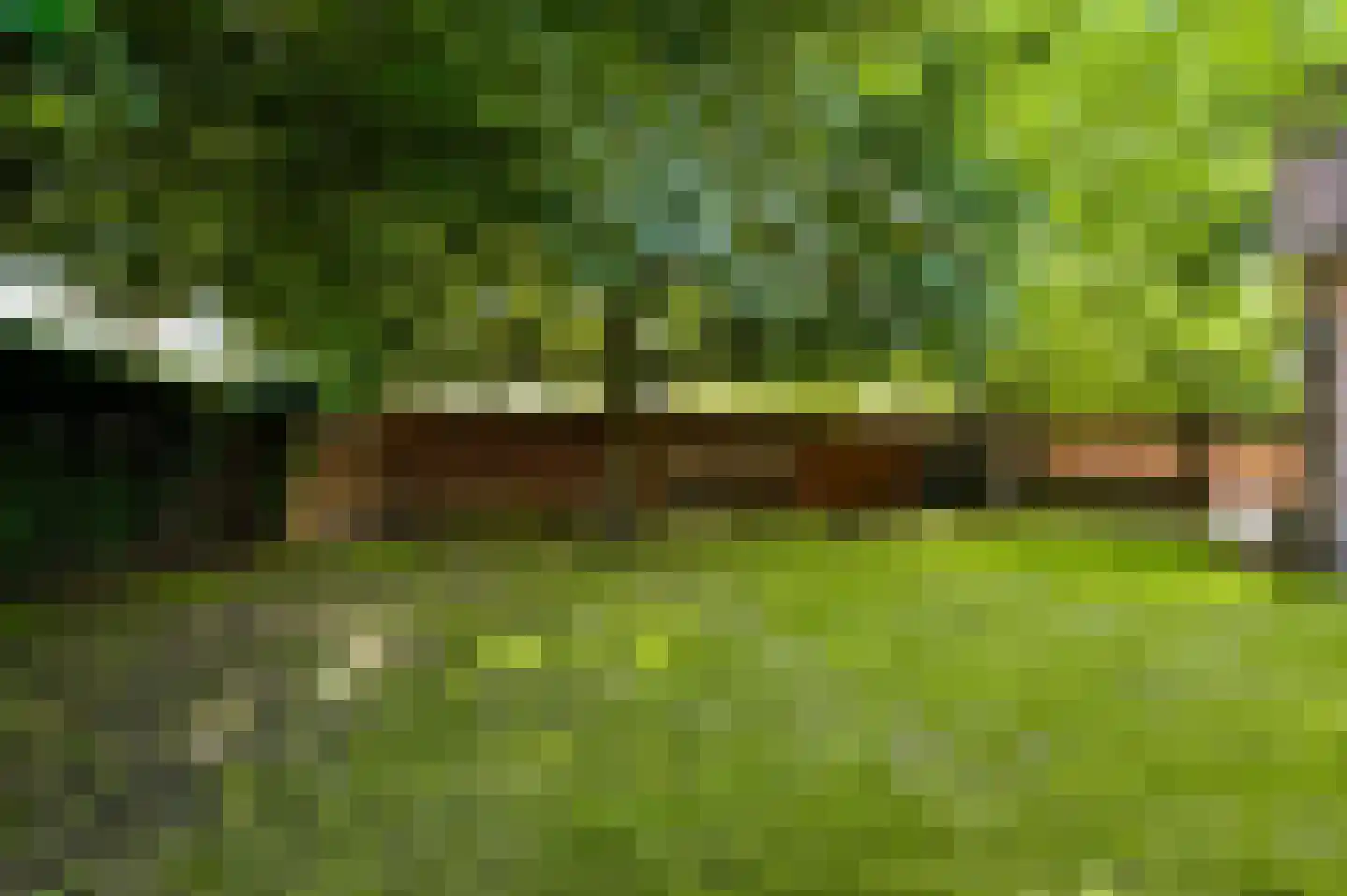 De Sprunk 14 Roermond thumbnail 42