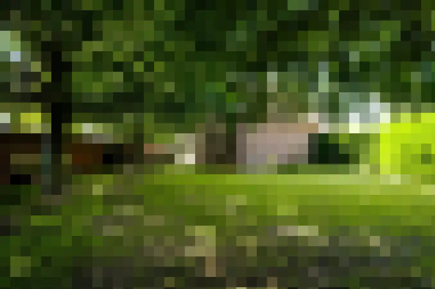 De Sprunk 14 Roermond thumbnail 45
