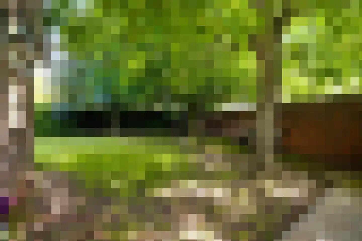 De Sprunk 14 Roermond thumbnail 46