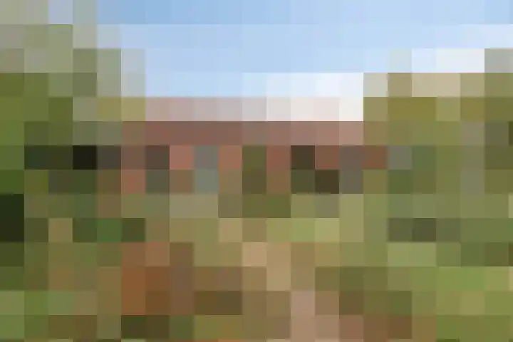 De Stad 15 Hooge Mierde thumbnail 10