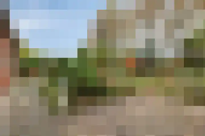 De Stad 15 Hooge Mierde thumbnail 11