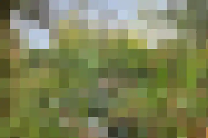 De Stad 15 Hooge Mierde thumbnail 12
