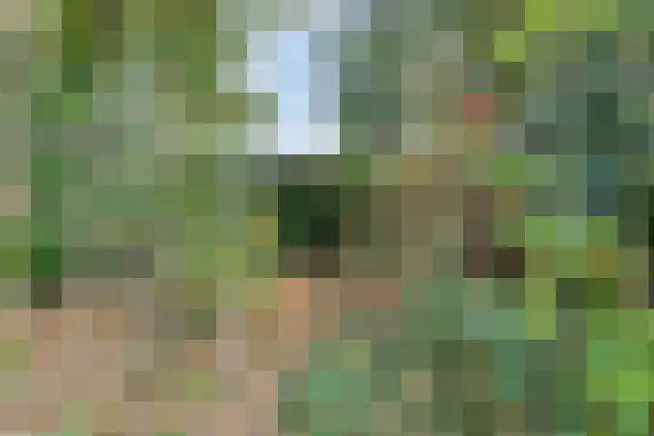 De Stad 15 Hooge Mierde thumbnail 13