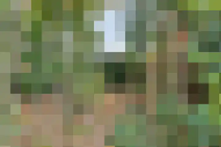 De Stad 15 Hooge Mierde thumbnail 14