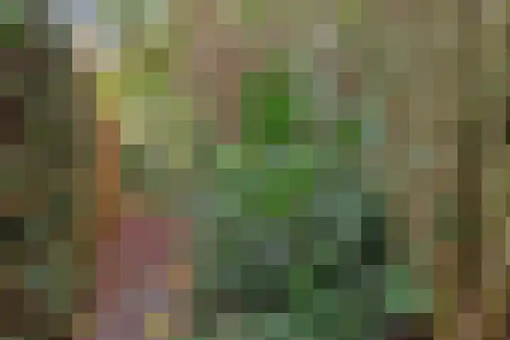De Stad 15 Hooge Mierde thumbnail 16