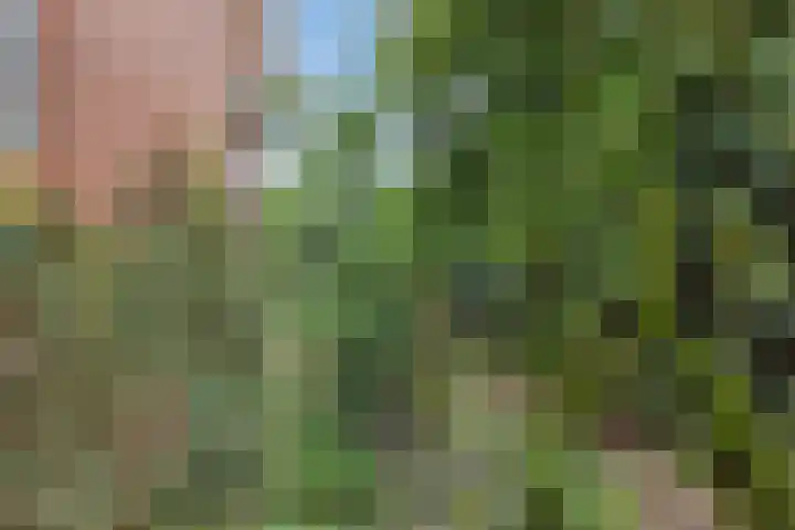 De Stad 15 Hooge Mierde thumbnail 17