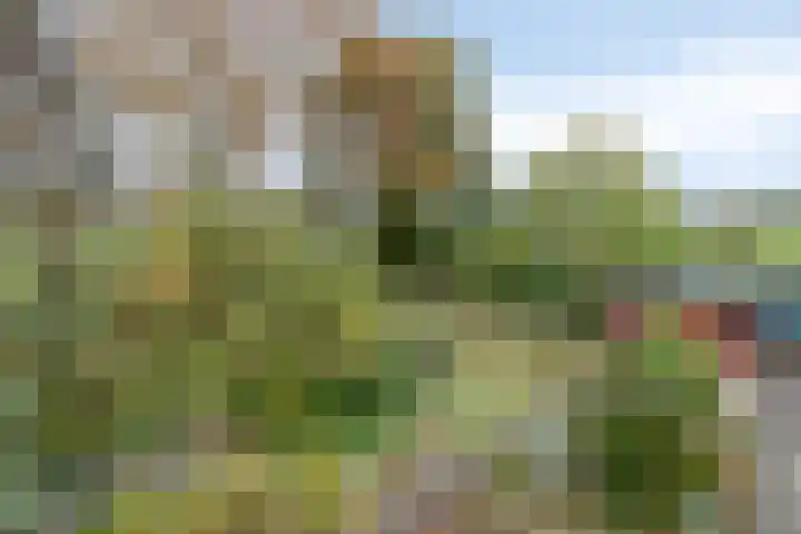 De Stad 15 Hooge Mierde thumbnail 18