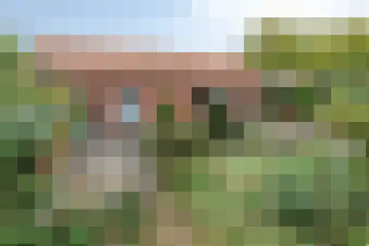 De Stad 15 Hooge Mierde thumbnail 19