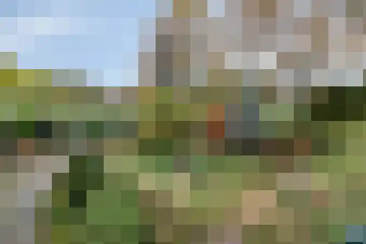 De Stad 15 Hooge Mierde thumbnail 20