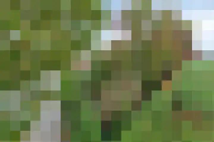 De Stad 15 Hooge Mierde thumbnail 21