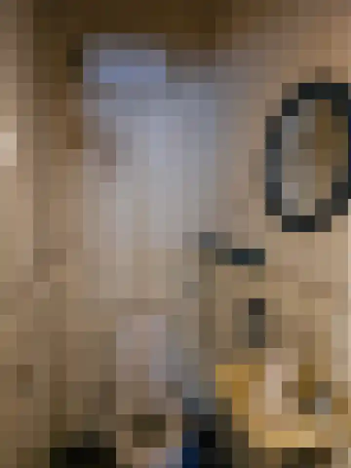 De Stad 15 Hooge Mierde thumbnail 28