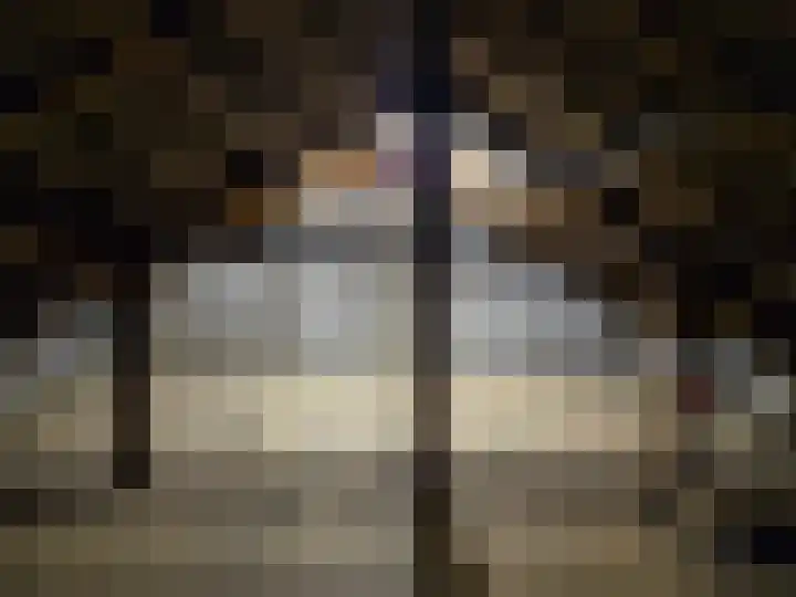 De Stad 15 Hooge Mierde thumbnail 29