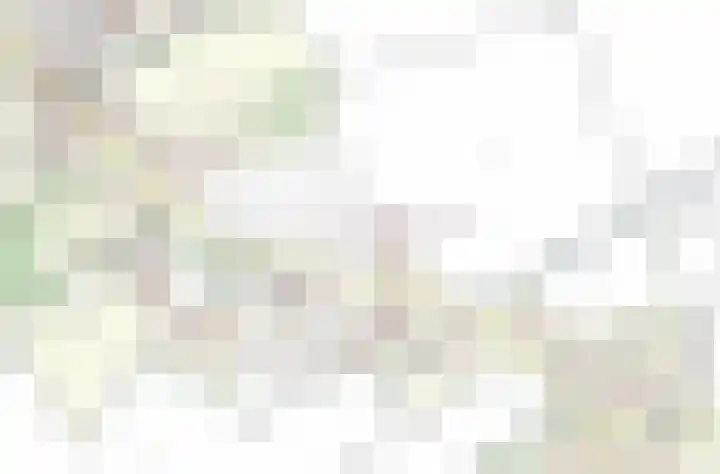De Stad 15 Hooge Mierde thumbnail 30